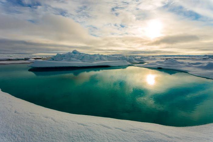 Арктика сегодня: большая конференция, льготы и климат