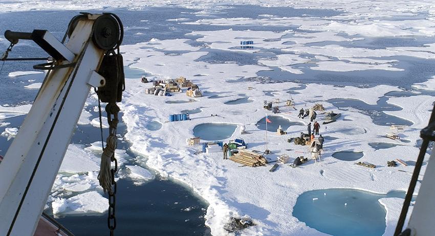 Арктика сегодня: ТОРы, геология и белая чайка