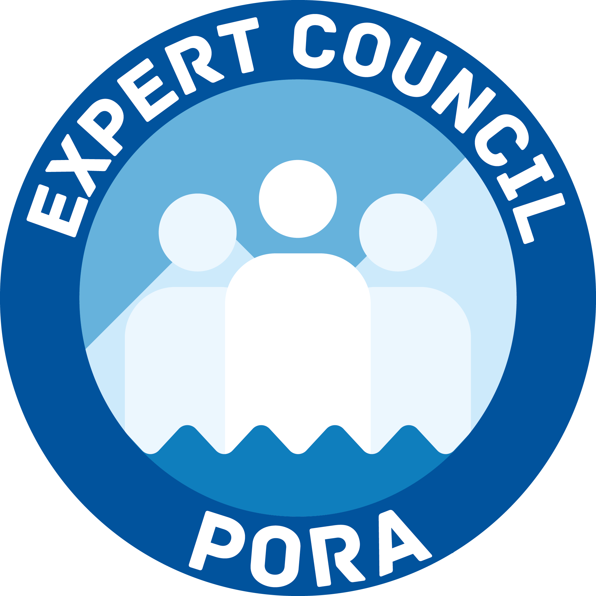 The PORA Expert Council brings together guest experts, participants of 
the PORA Discussion Club sessions, and grant recipients.

The Expert Council provides an environment for top-qualified experts to 
discuss the matters pertaining to the development of the Arctic.