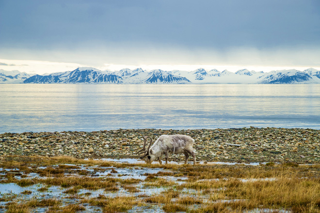 Арктика за неделю: мороз после тепла, проектирование законопроекта и деньги для СМП