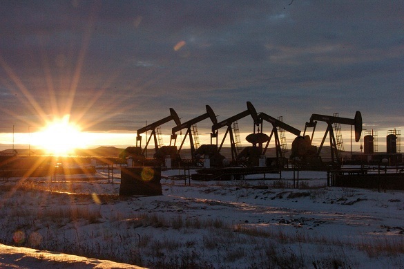 Грант «Специальный инвестиционный контракт в контексте промышленного освоения Арктики»