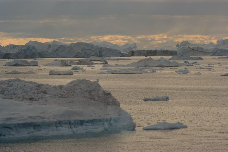 В Арктике ПОРА создавать территории с преференциальными режимами. Анонс