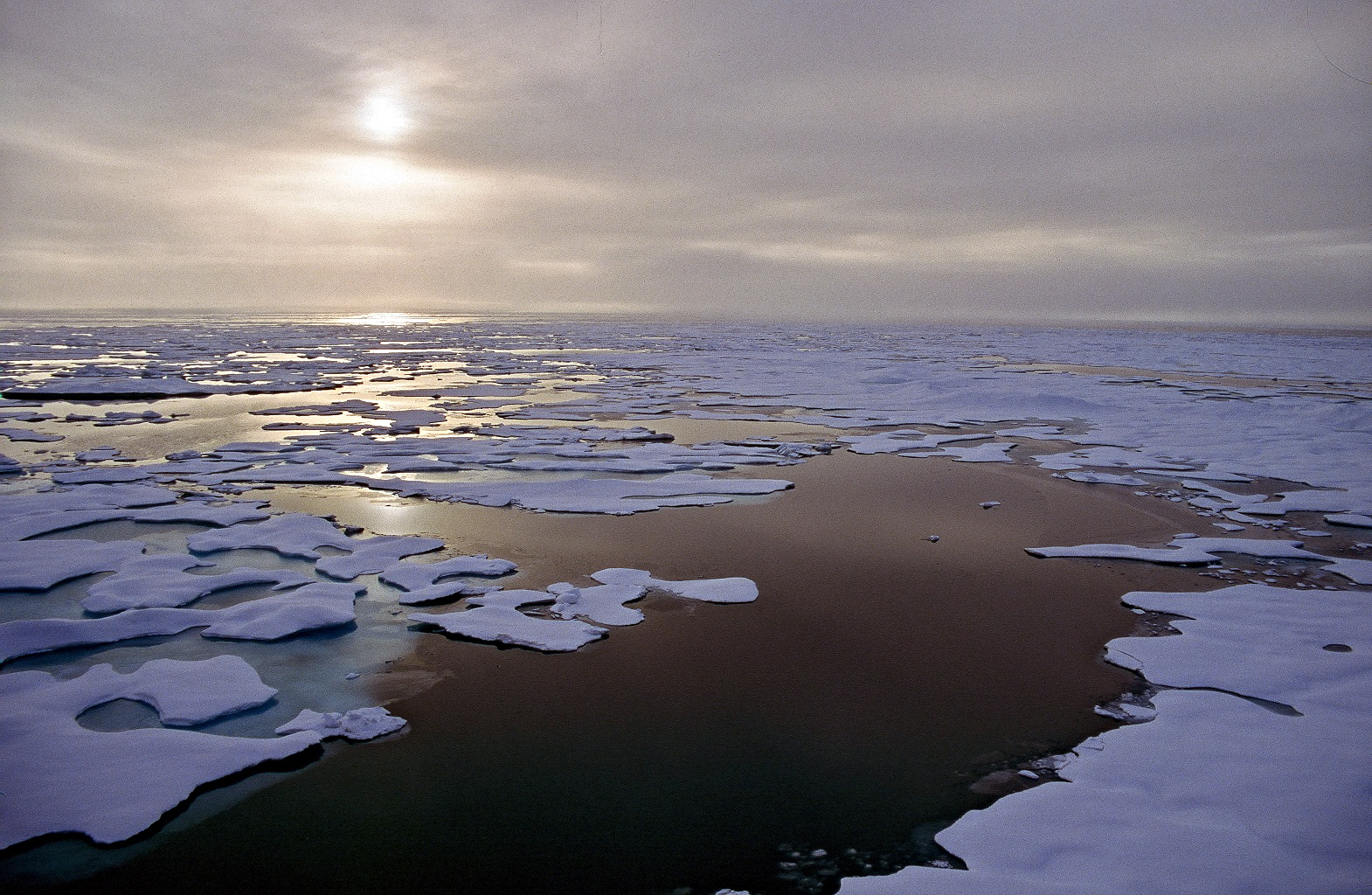 Сибирское море. Море Бофорта. Бофорта море США. Море Лаптевых Восточно Сибирское море. Акватория Северного Ледовитого океана.