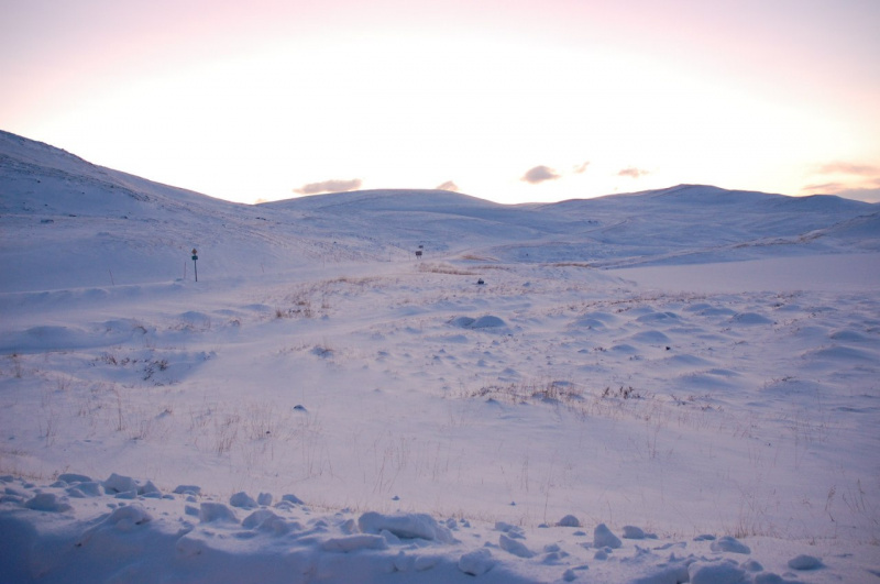 Арктика сегодня: полярная экскурсия, раскопки и культура