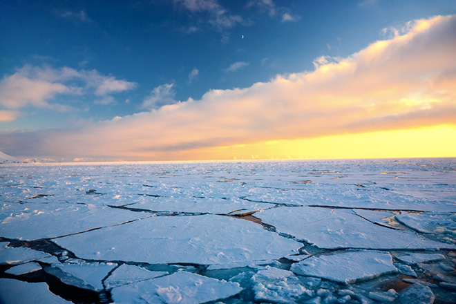 Арктика сегодня: время конференций