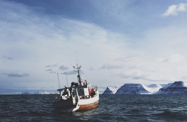 Арктика сегодня: ледовая проводка, исследование мерзлоты и арктический сыр