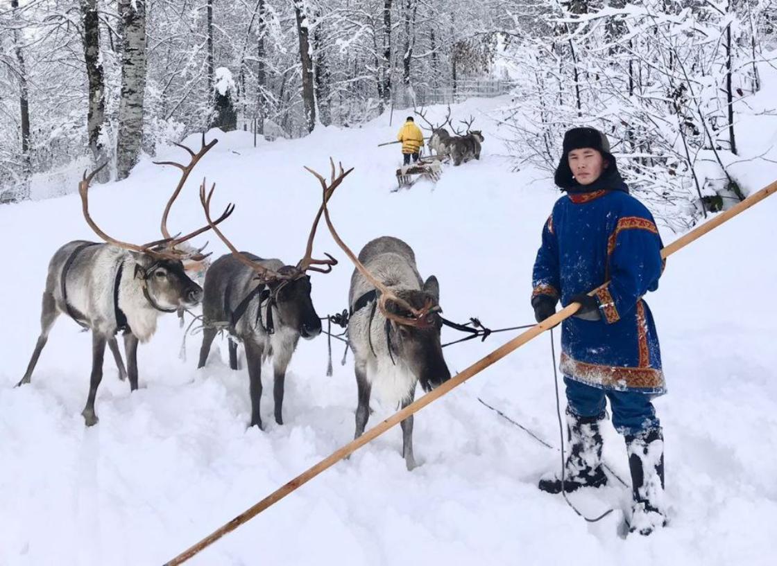 Шест в руках каюра