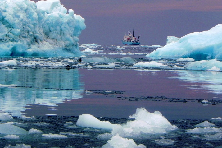 Арктика сегодня: климатические изменения и новый арктический институт