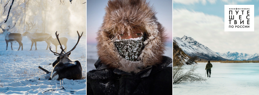 В Москве состоятся открытые показы документальных фильмов про Арктику