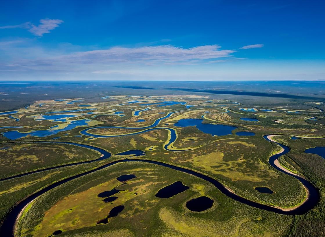 Макрозообентос озер бассейна реки Колымы как важнейший кормовой ресурс ценных и прочих видов рыб в высокой Арктике