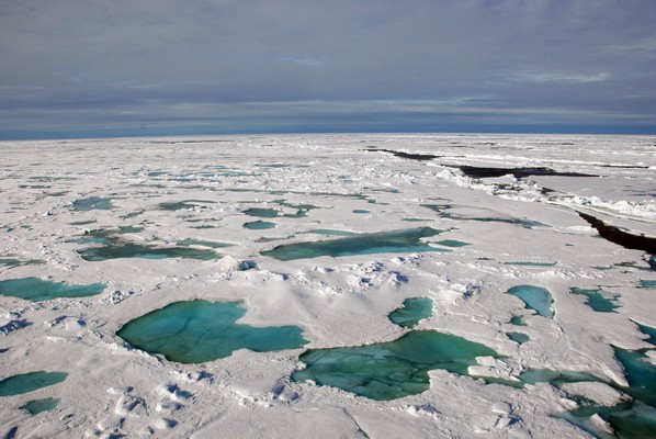 Арктика сегодня: наука и исследования
