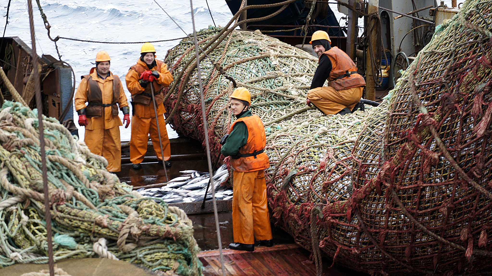 промысел в охотском море