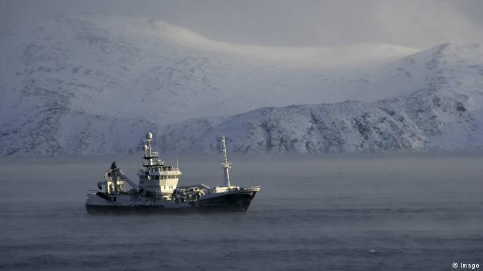 Арктика сегодня: реакторы и рыба