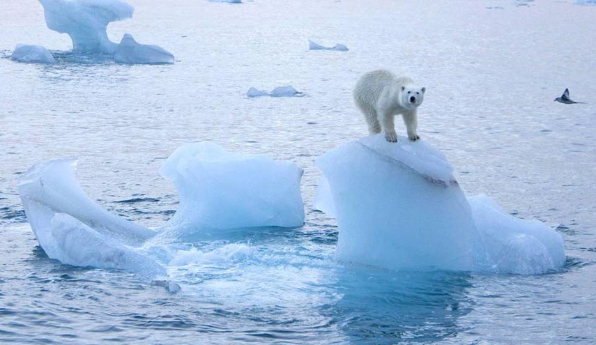 Арктика сегодня: экология не теряет актуальности. И это здорово!