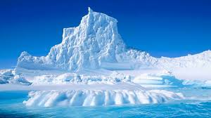 Арктика за неделю: этот полярный, полярный, полярный мир