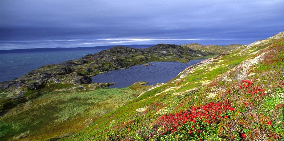 Эксперт ПОРА: все туристические проекты в Арктике должны быть «зелеными»
