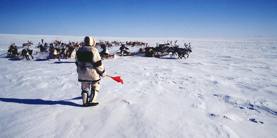 Арктика сегодня: Международный форум коренных народов предлагает закрепить обязательность процедуры СПОС