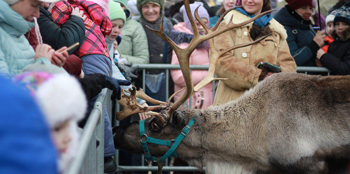 Фестиваль «Добро пожаловать в Арктику» состоялся в Великом Новгороде