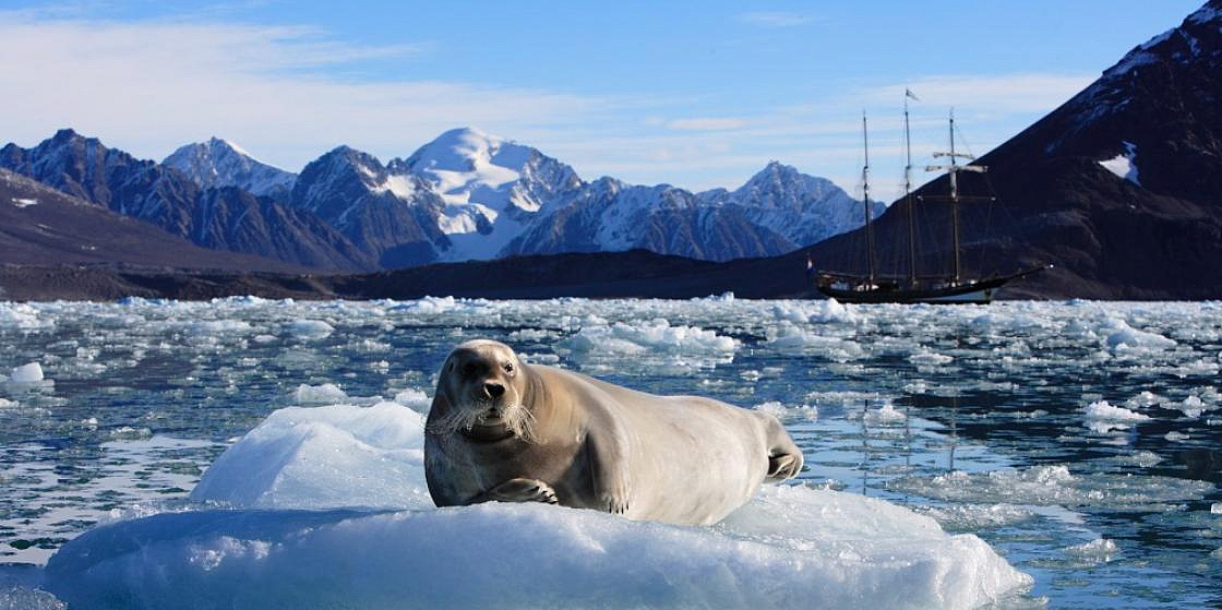 Арктика за неделю: мерзлота, суда и туризм