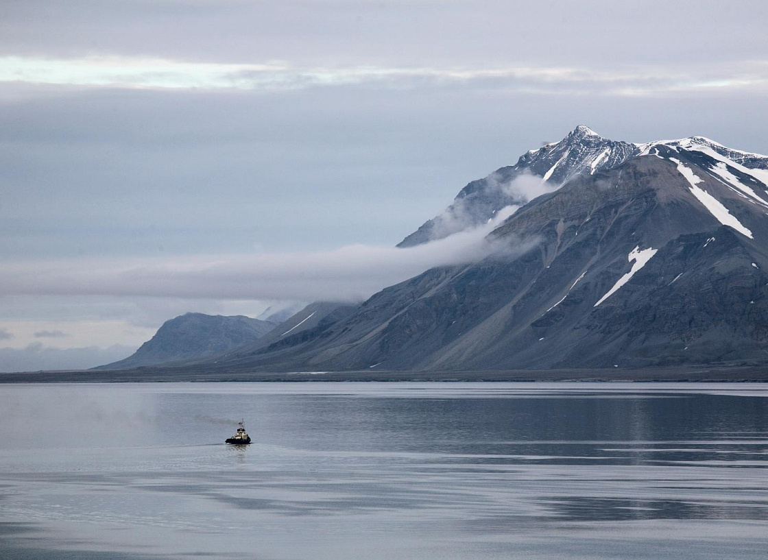 «Arctic Sessions»: экспертная дискуссия о научном сотрудничестве в Арктике