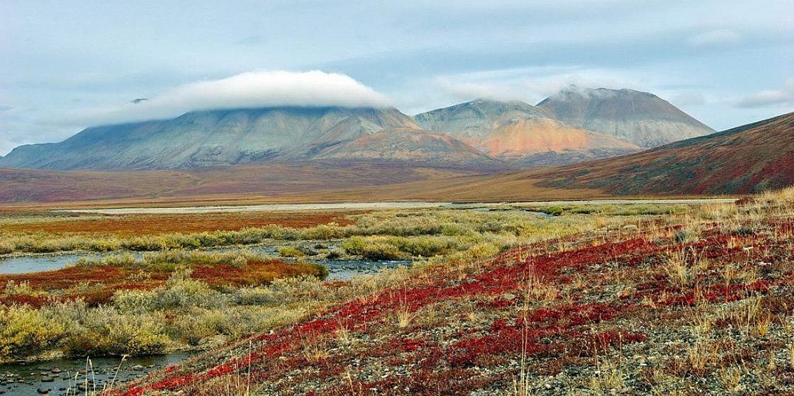 При поддержке Лаборатории устойчивого развития пройдет симпозиум по охране природы севера Евразии