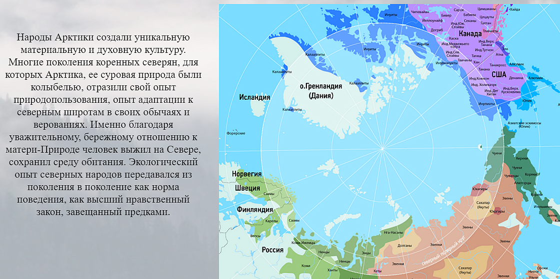  Создание сайта «Народы Арктики» 