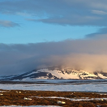 Рассылка «ПОРА в Арктику! GoArctic!» – выпуск от 4 октября 2024 года