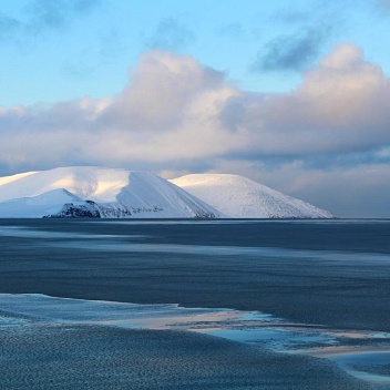 Рассылка «ПОРА в Арктику! GoArctic!» – выпуск от 13 сентября 2024 года