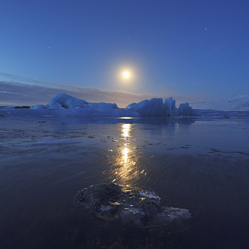 Арктика сегодня. Изменение климата прекратит поступление сибирской древесины в арктические акватории
