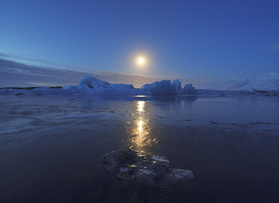 Арктика сегодня. Изменение климата прекратит поступление сибирской древесины в арктические акватории