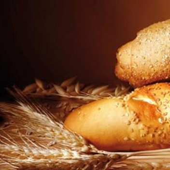 Архангельский хлеб признали одним из лучших в стране