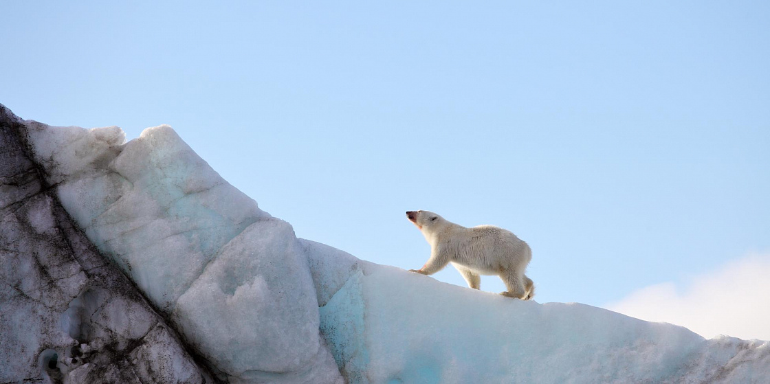 Арктика за неделю: важнейшие темы арктической повестки с 19 по 23 декабря