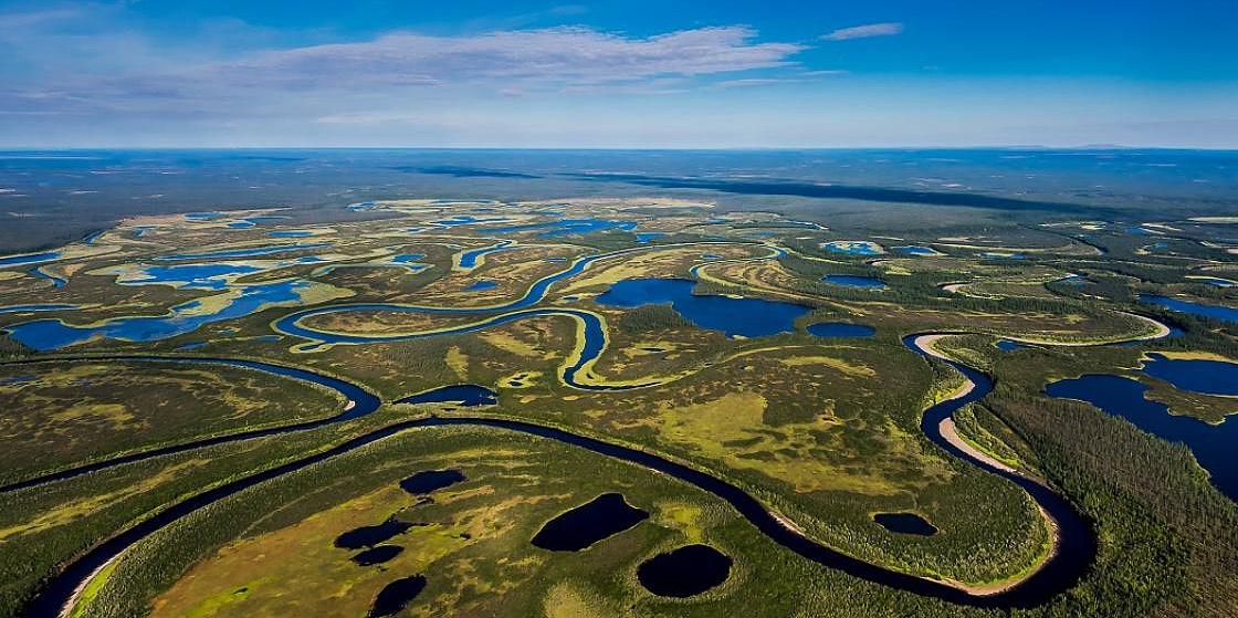  Макрозообентос озер бассейна реки Колымы как важнейший кормовой ресурс ценных и прочих видов рыб в высокой Арктике