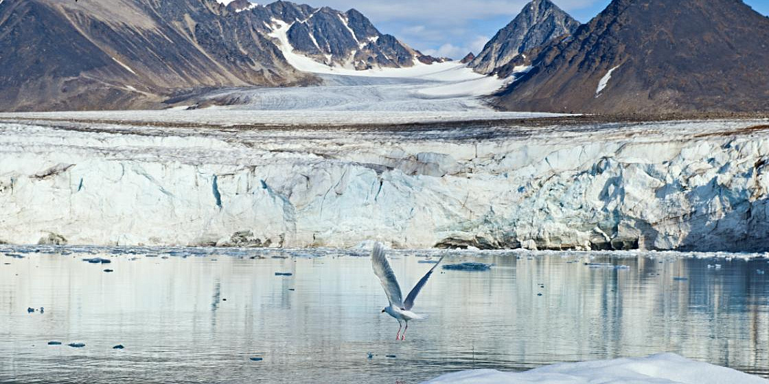 Арктика за неделю: важнейшие темы арктической повестки с 10 по 14 января