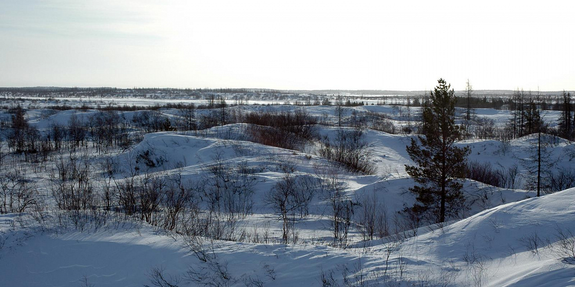 Арктика сегодня. В Ненецком автономном округе будет запущен крупный метаноловый проект