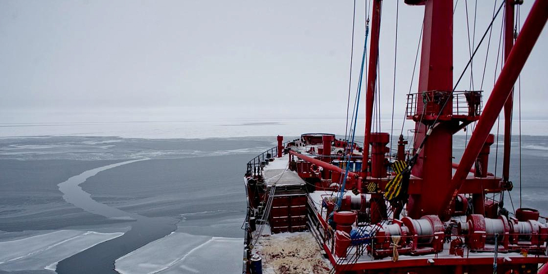 Арктика сегодня: первые результаты проекта грузового агрегатора для СМП 