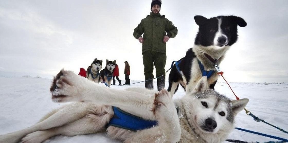 Экспедиция на собачьих упряжках стартовала в Онежском Поморье