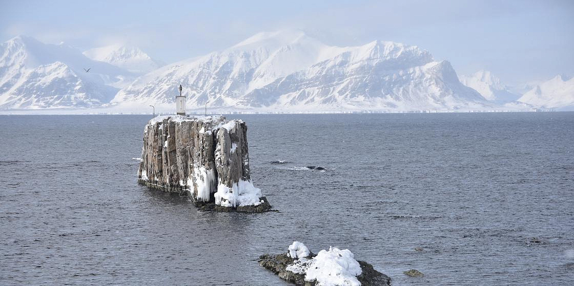 Арктика сегодня: новый резидент, платиновое месторождение и поиски золота