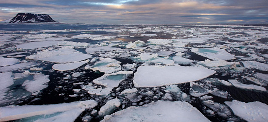 Arctic Sessions: научная дипломатия — ключ к возрождению сотрудничества в Арктике