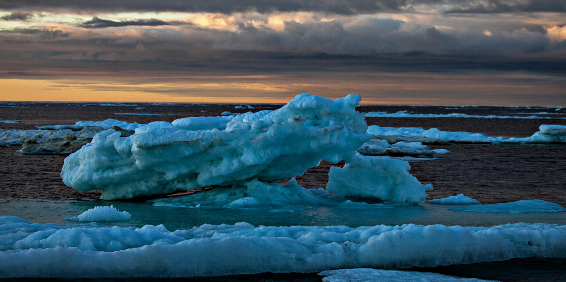 Арктика сегодня. Впервые изучено вертикальное распространение жизни в Северном Ледовитом океане