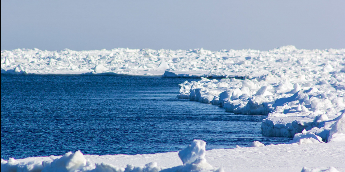 Арктика сегодня: координация, СРП и мысли вслух