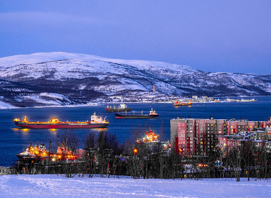 Арктика сегодня. Перевалка грузов в Мурманском морском рыбном порту увеличилась почти на четверть