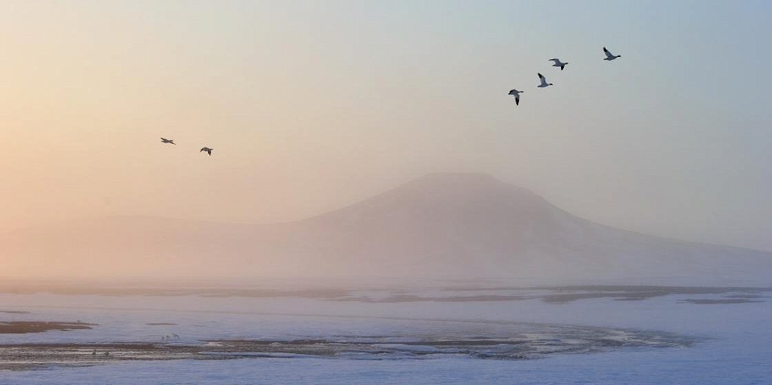 Top Arctic stories of the week, 24 -- 28 January 2022