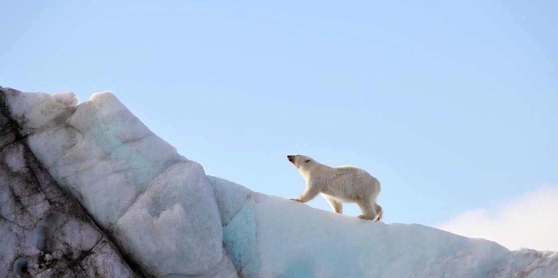 Арктика сегодня. Минвостокразвития: сотрудничество в Арктике будет перезапущено