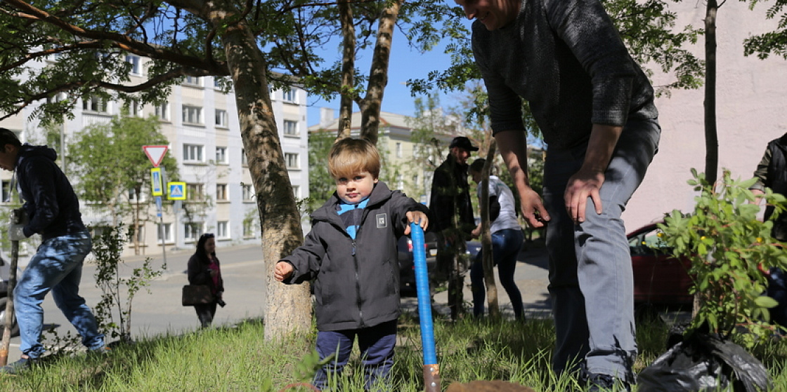 В Мурманской области завершилась акция «Сад памяти»