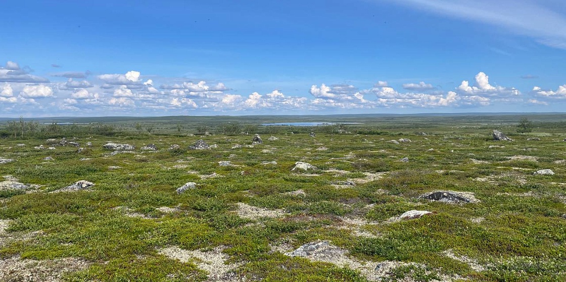 В Мурманске подвели промежуточные итоги работ по этноэкспертизе Колмозерского месторождения