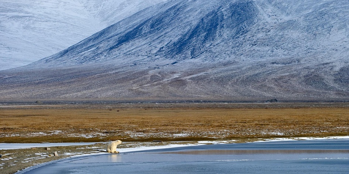 Рассылка «ПОРА в Арктику! GoArctic!» – выпуск от 25 октября 2024 года