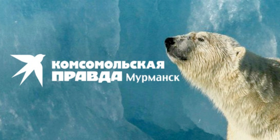  «Комплексно-информационная поддержка развития Арктической зоны в регионе»