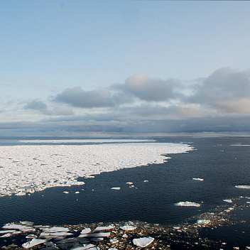 Арктика сегодня. Кадровый резерв поможет заполнить вакансии на севере Красноярского края