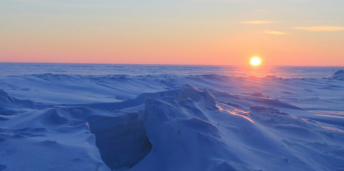 Арктика сегодня: территория диалога и новости локализации
